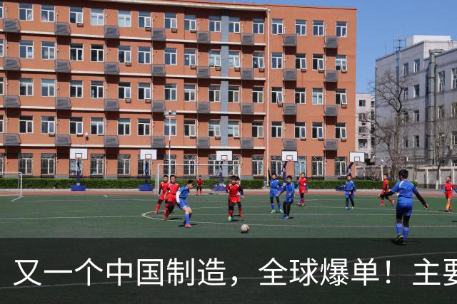 又一个中国制造，全球爆单！主要杀入欧美市场