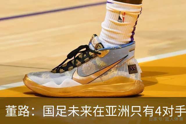 董路：国足未来在亚洲只有4对手 我也能执教国足 这东西没啥高深的